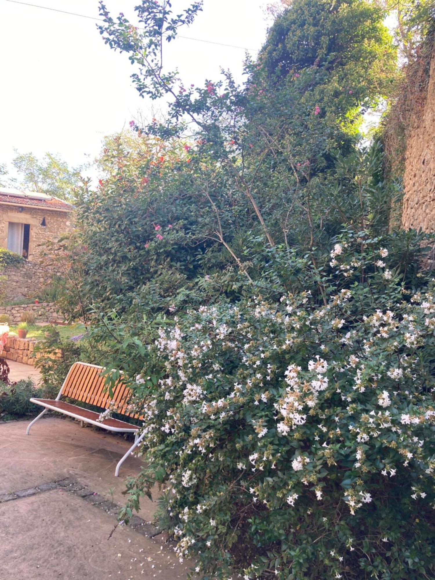 مبيت وإفطار Andancette Domaine De Pipangaille المظهر الخارجي الصورة